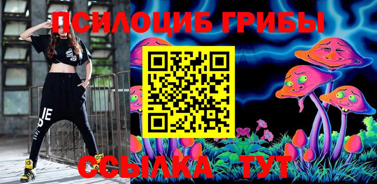 Галлюциногенные грибы Psilocybe Новозыбков