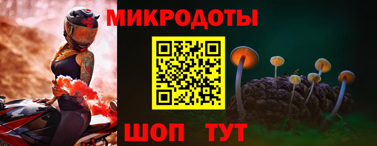 Псилоцибиновые грибы Cubensis  Псилоцибиновые грибы ЛСД  Новозыбков  Вход с VPN 